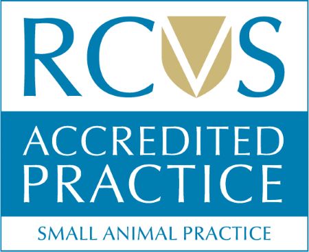 Small Animal Practice logo