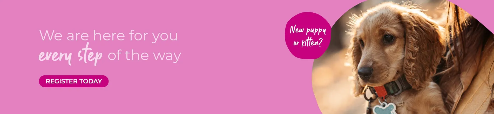 Vets in Chesterfield and Staveley in Derbyshire