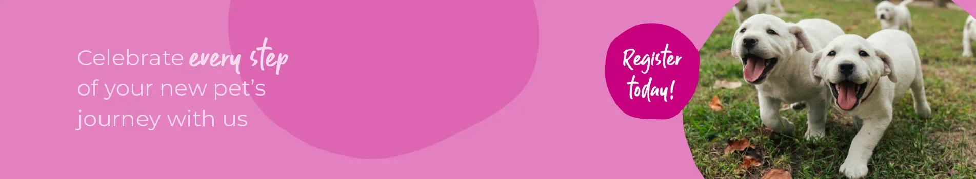 Start of Life for Your Puppy or Kitten