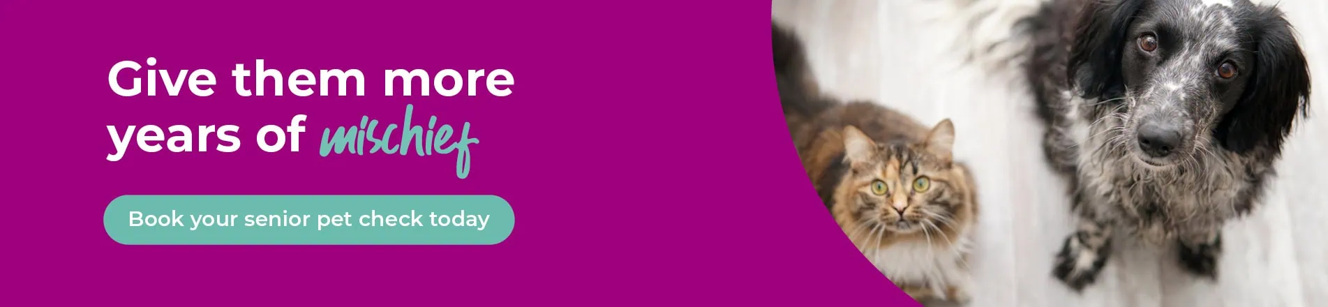 Vets in Chesterfield and Staveley in Derbyshire
