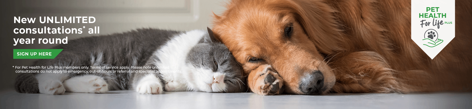 Vets in Chesterfield and Staveley in Derbyshire