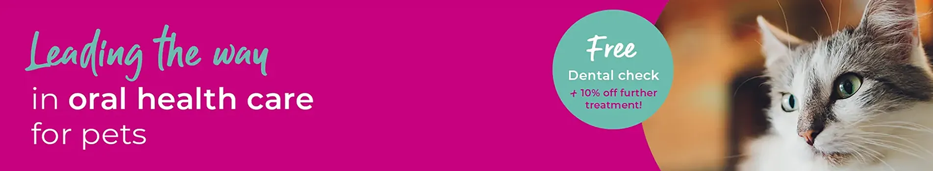 Dental Health for your pet