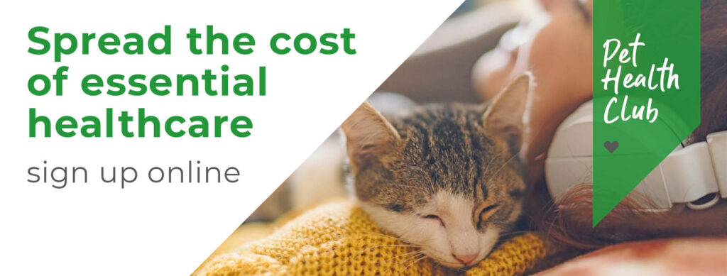 Pet Health Club infographic