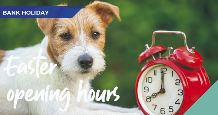 Easter opening hours infographic