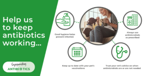 Safeguarding antibiotics infographic