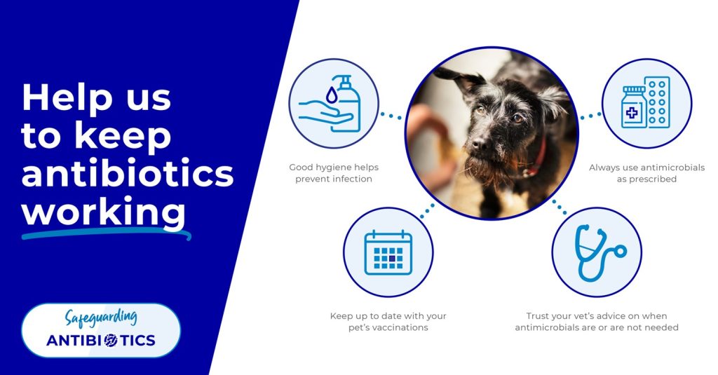 Help us to keep antibiotics working infographic