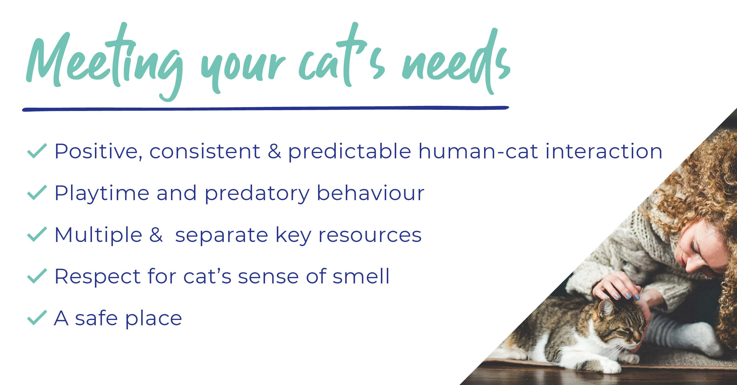 Caring for your cat