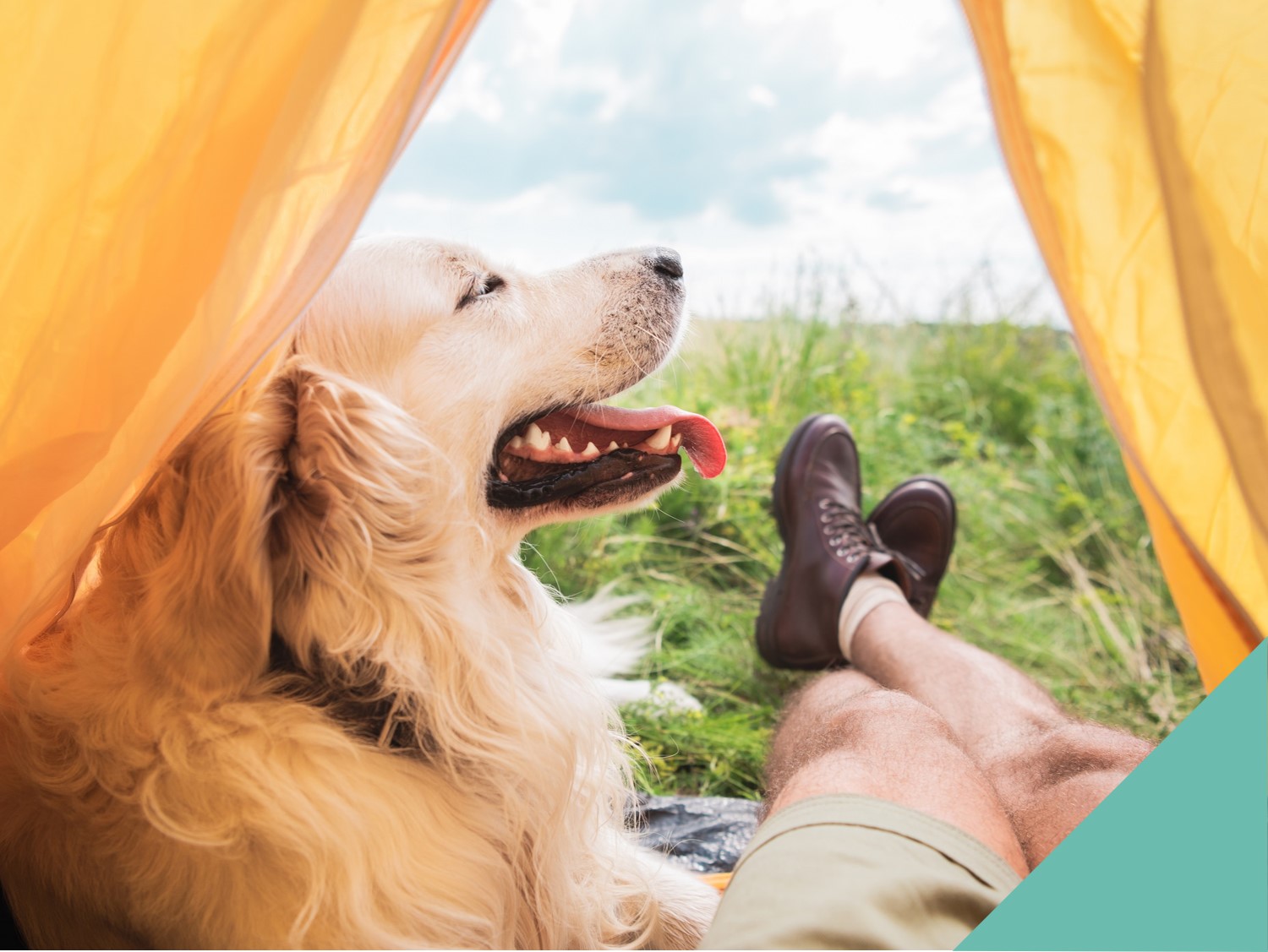 A man and a dog in a tent