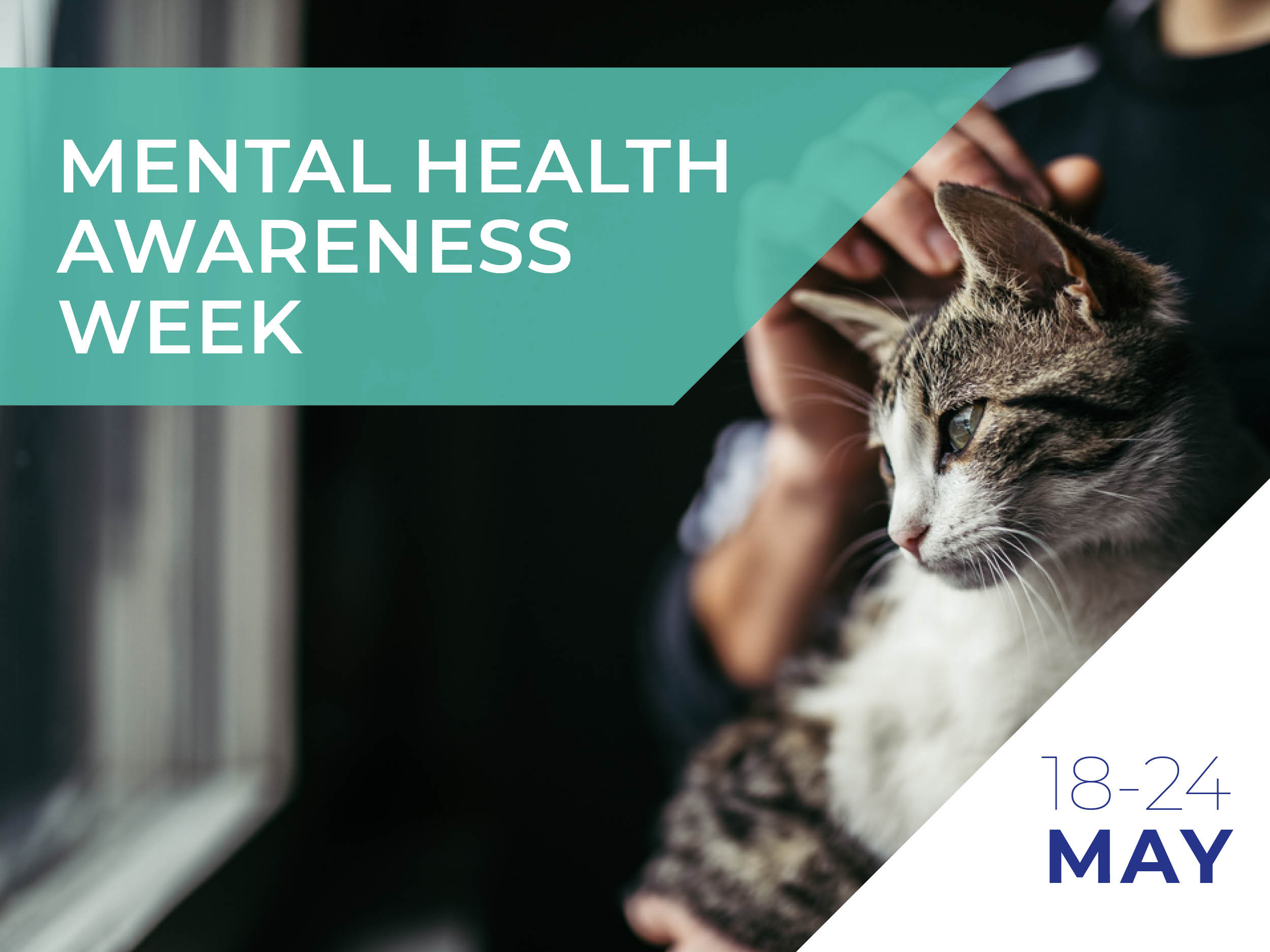 Mental Health Awareness
