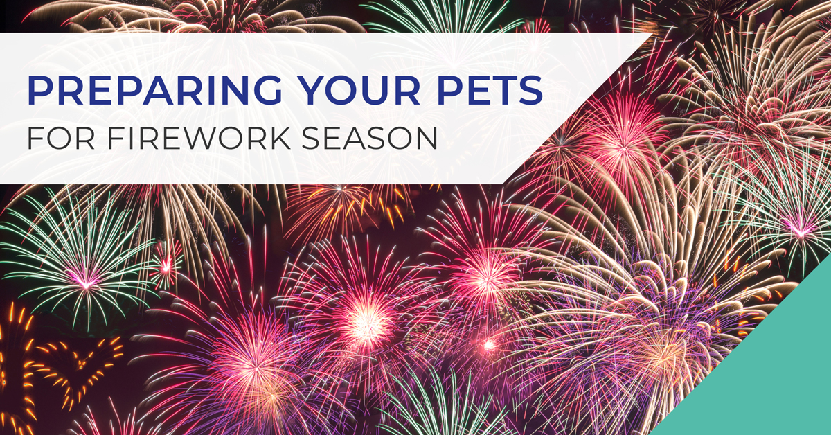 Preparing your pet for fireworks