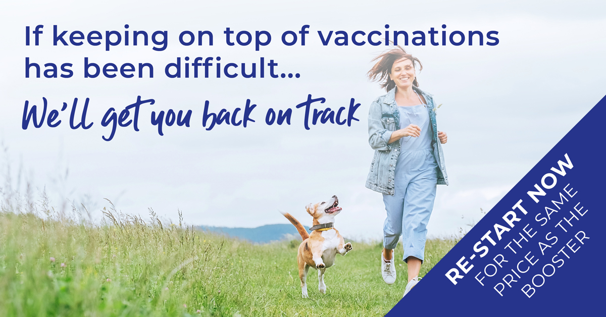 The importance of vaccinations