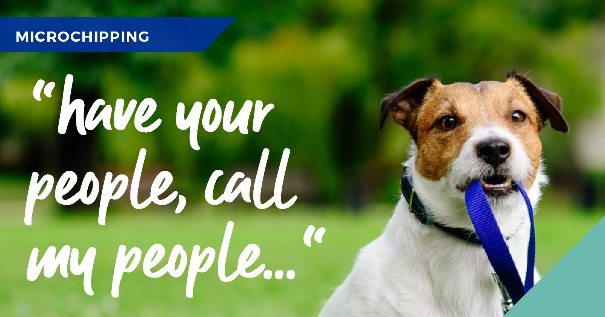 The importance of microchipping