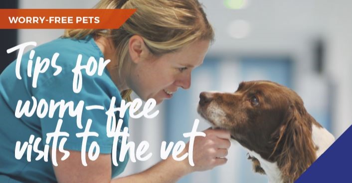 Worry-free vet visits