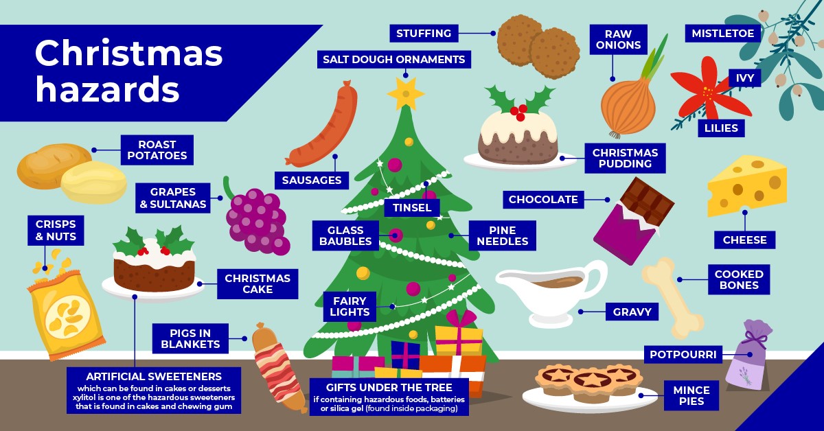 christmas pet hazards
