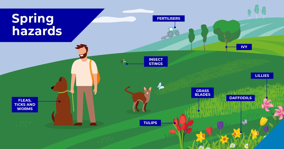 Spring hazards infographic