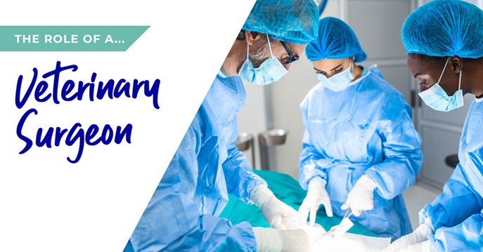 Surgeons at work