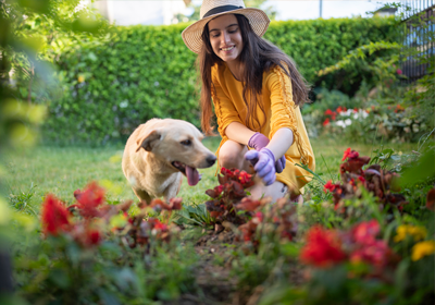A dog and their owner looking at flowers