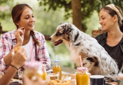 Dog sitting at table with two women