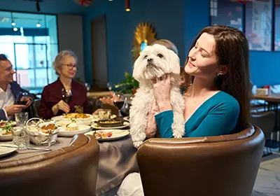 thumb-image-dogs-and-pubs