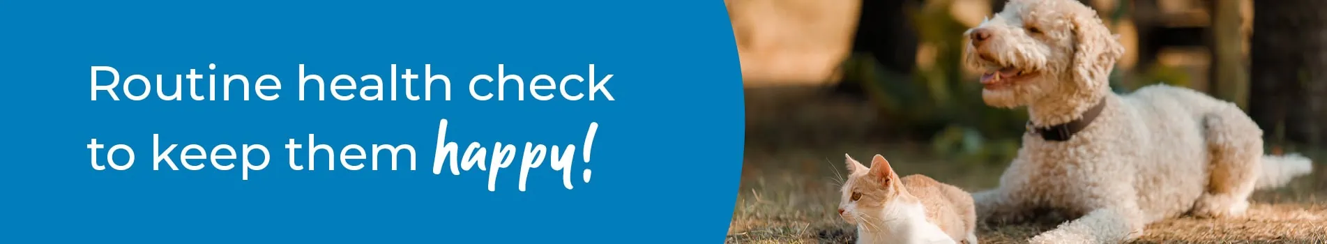 Pet Health Check in Derbyshire | Preventative Vet Care