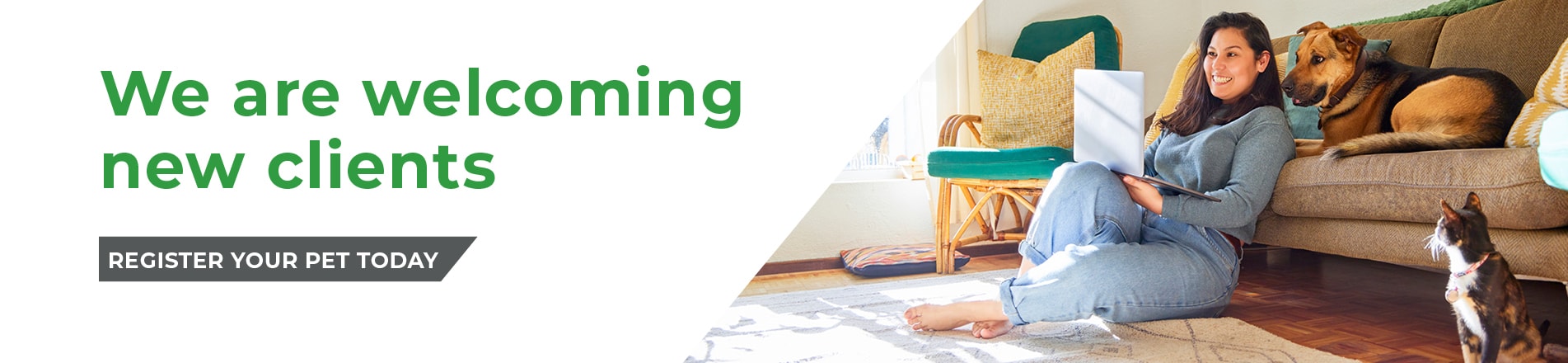 Vets in Chesterfield and Staveley in Derbyshire