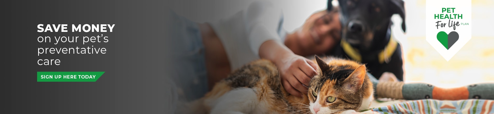 Vets in Chesterfield and Staveley in Derbyshire