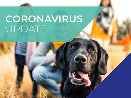 Coronavirus Update