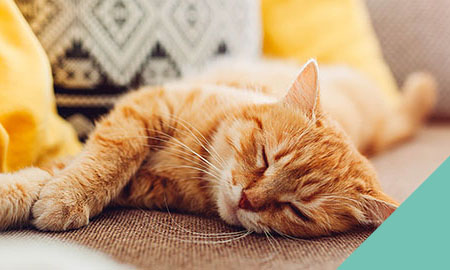 Diabetes Awareness Week