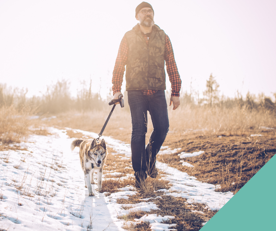 January is National Walk Your Dog Month Chapel House Vets