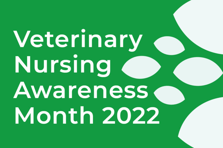 Veterinary Nursing Awareness Month at Chapel House Vets