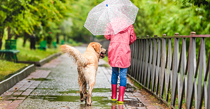 walking-dog-in-the-rain